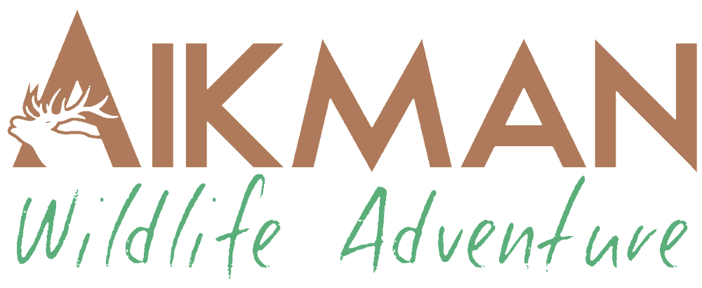Aikman Logo